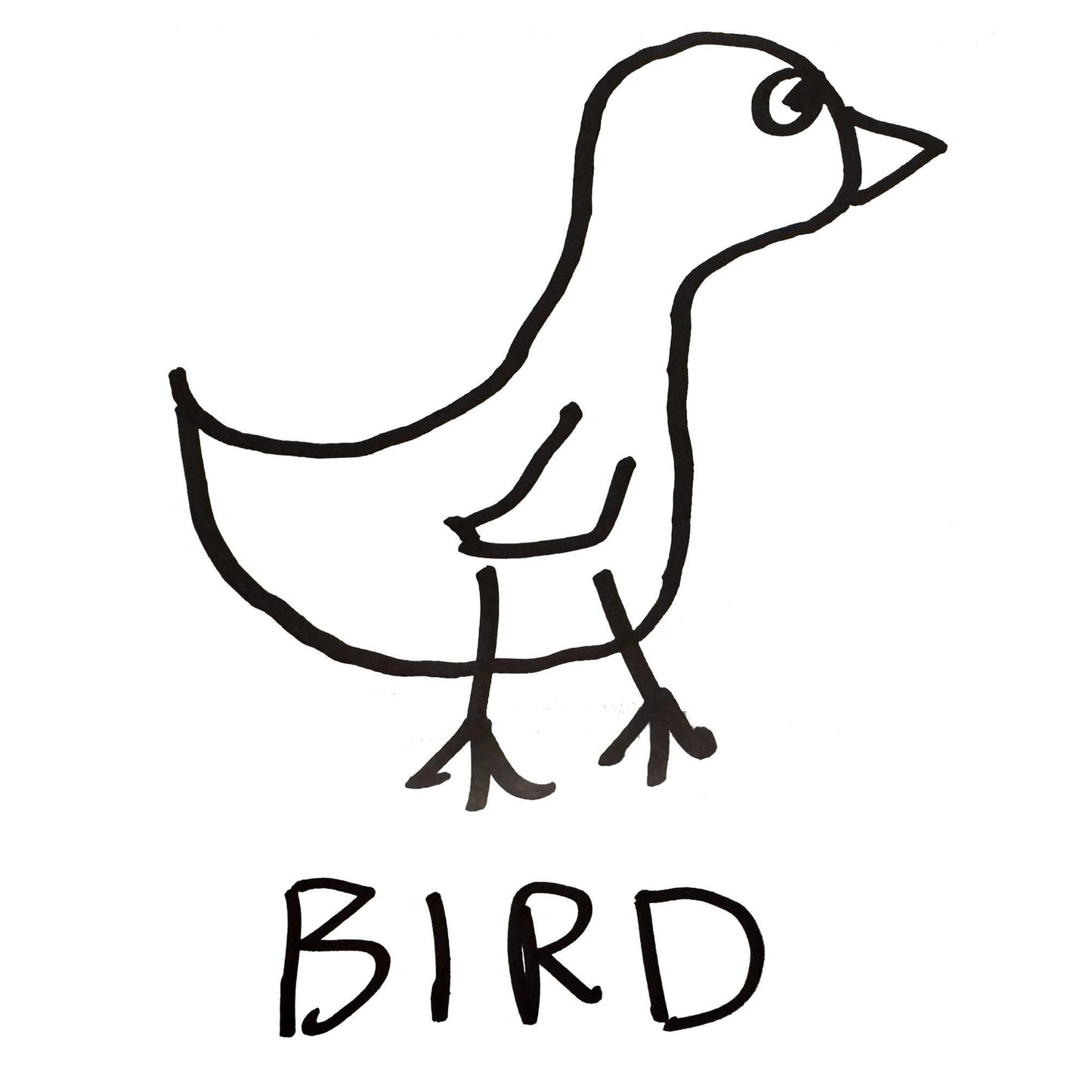 a crudely drawn but cute black marker drawing of a bird, with the word "Bird" underneath