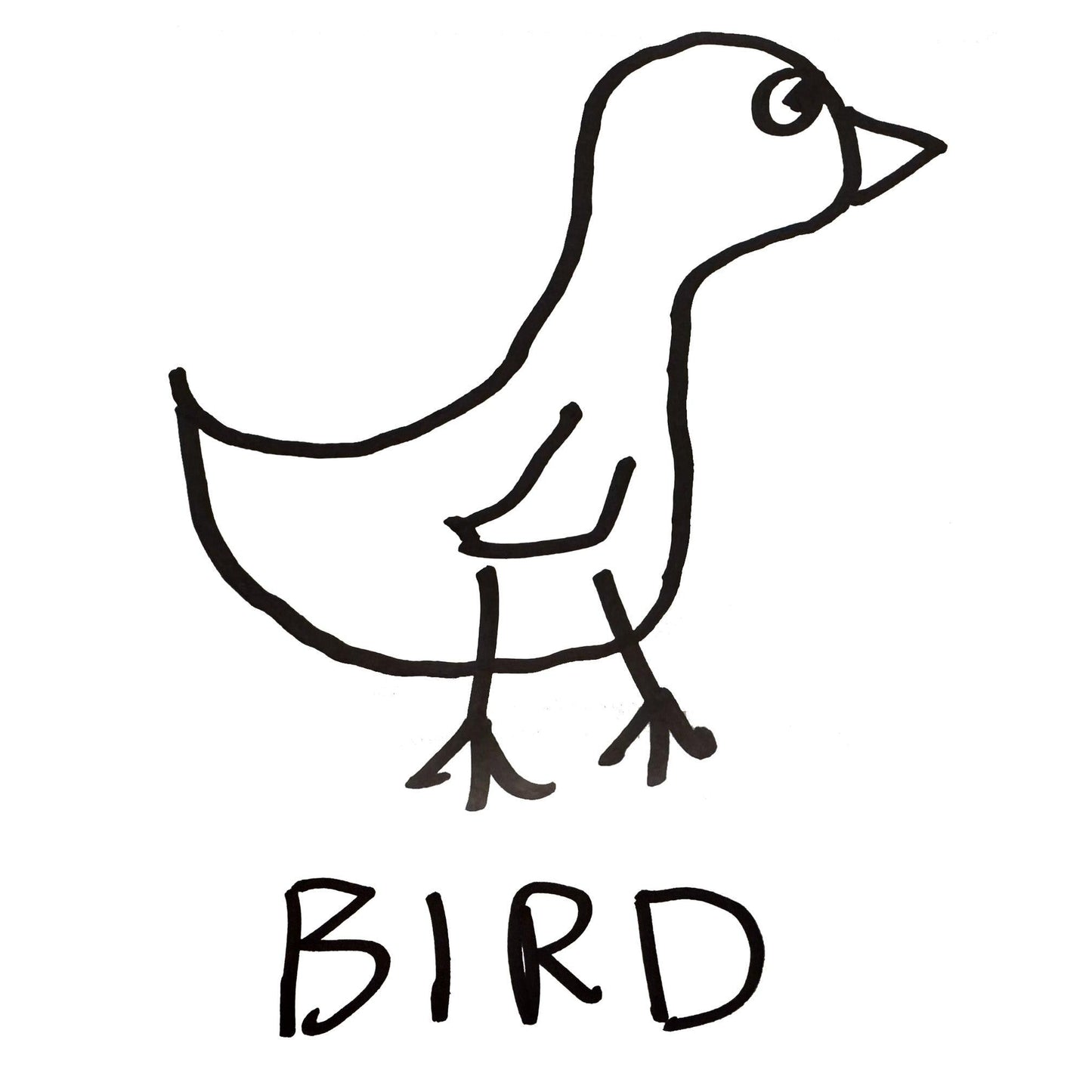 a crudely drawn black marker drawing of a bird with the word "Bird" underneath