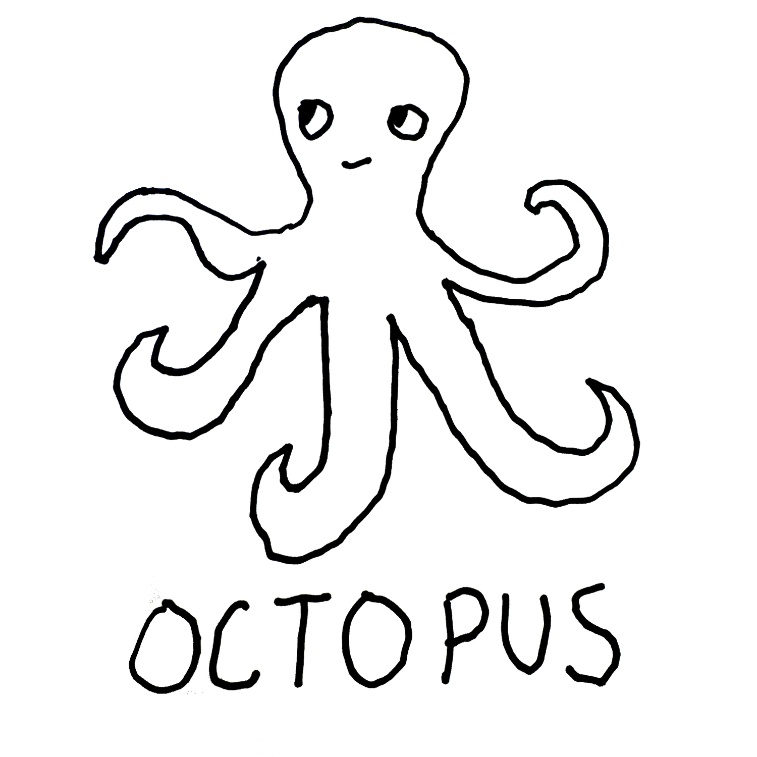 Octopus