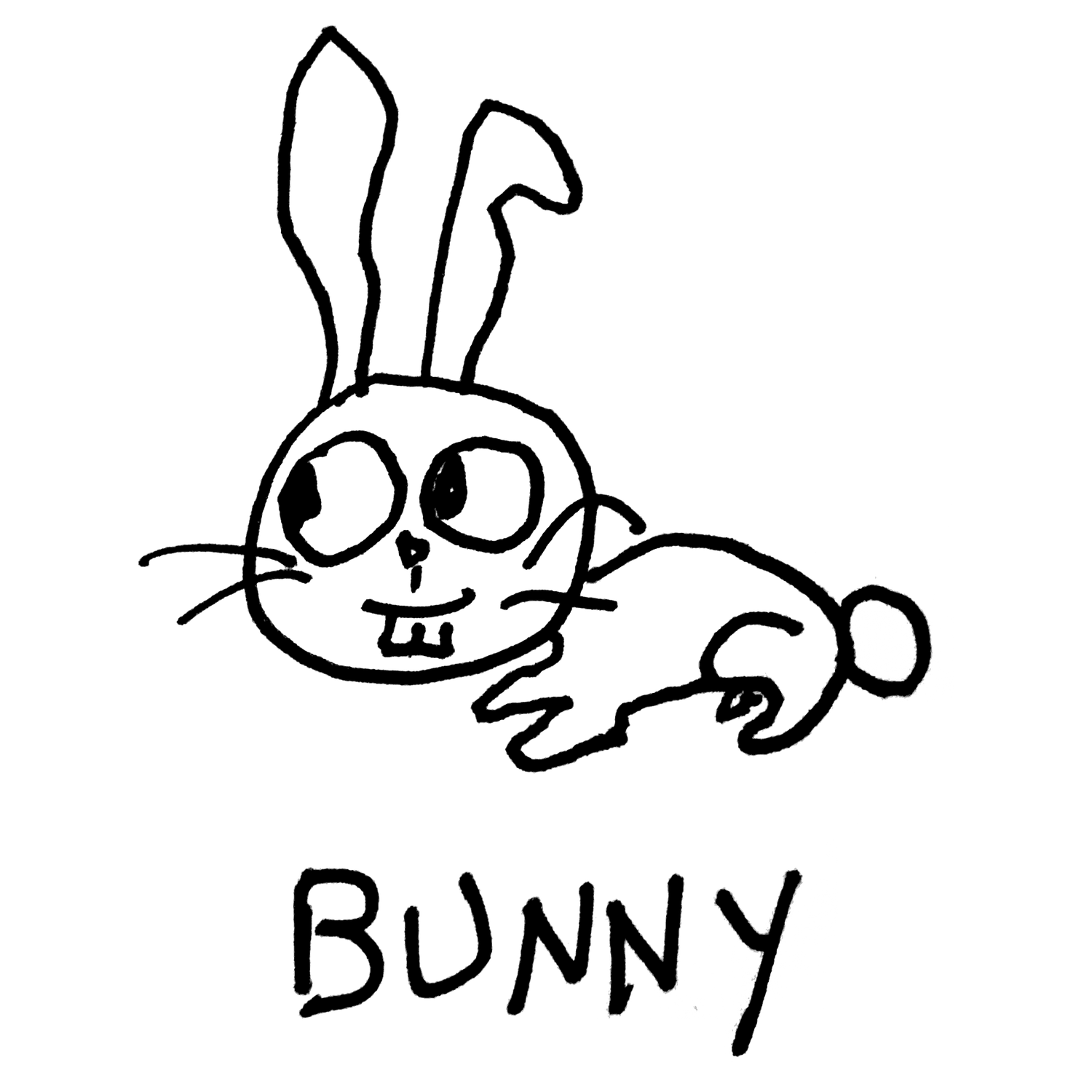 Bunny