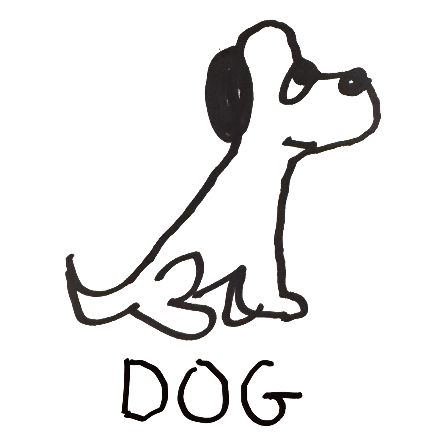 Dog T-shirt