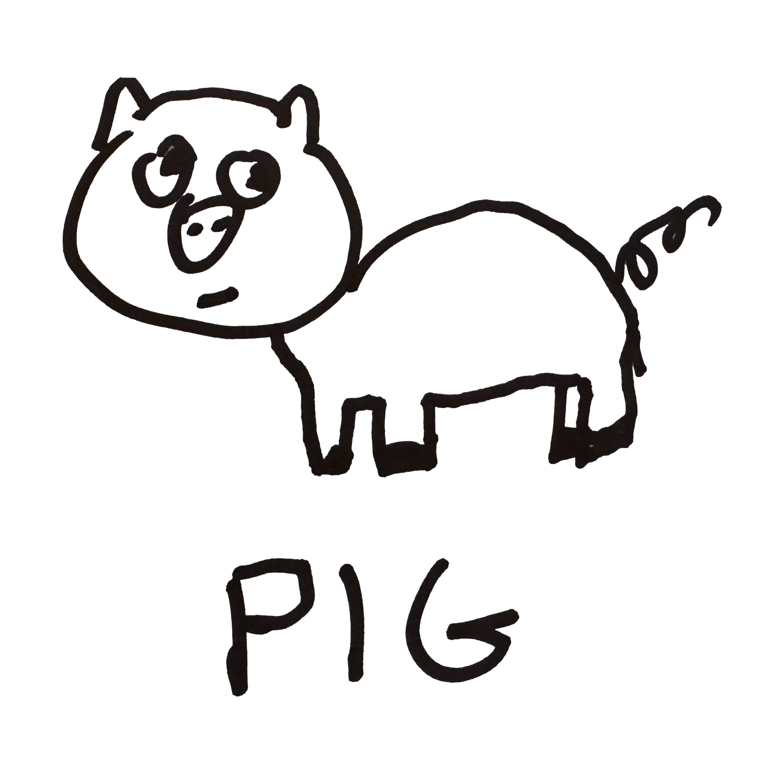 Pig