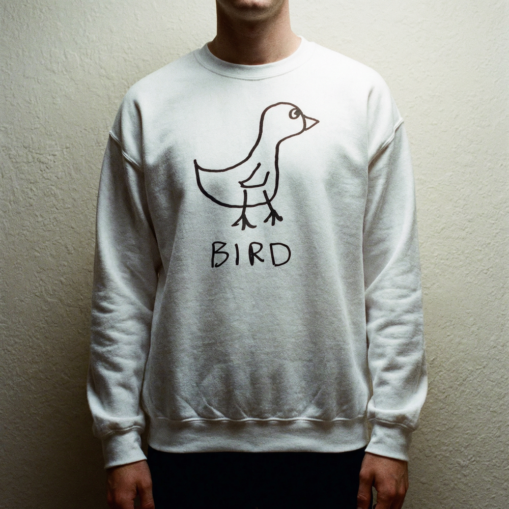 Model in a lofi bird graphic crewneck sweatshirt against a gray studio backdrop, shadowy feel