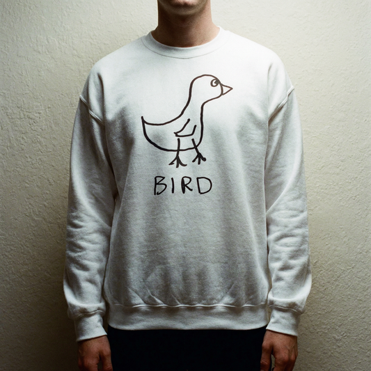 Model in a lofi bird graphic crewneck sweatshirt against a gray studio backdrop, shadowy feel