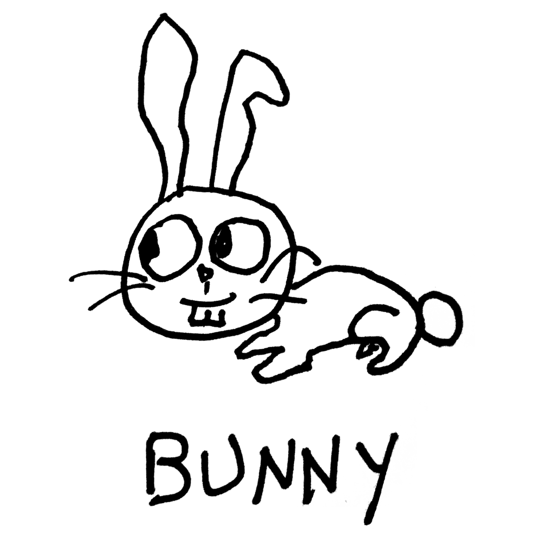 Bunny - T-shirt dress - LoFi Animal Shirts