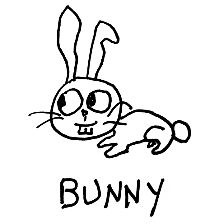 Bunny - T-shirt dress - LoFi Animal Shirts