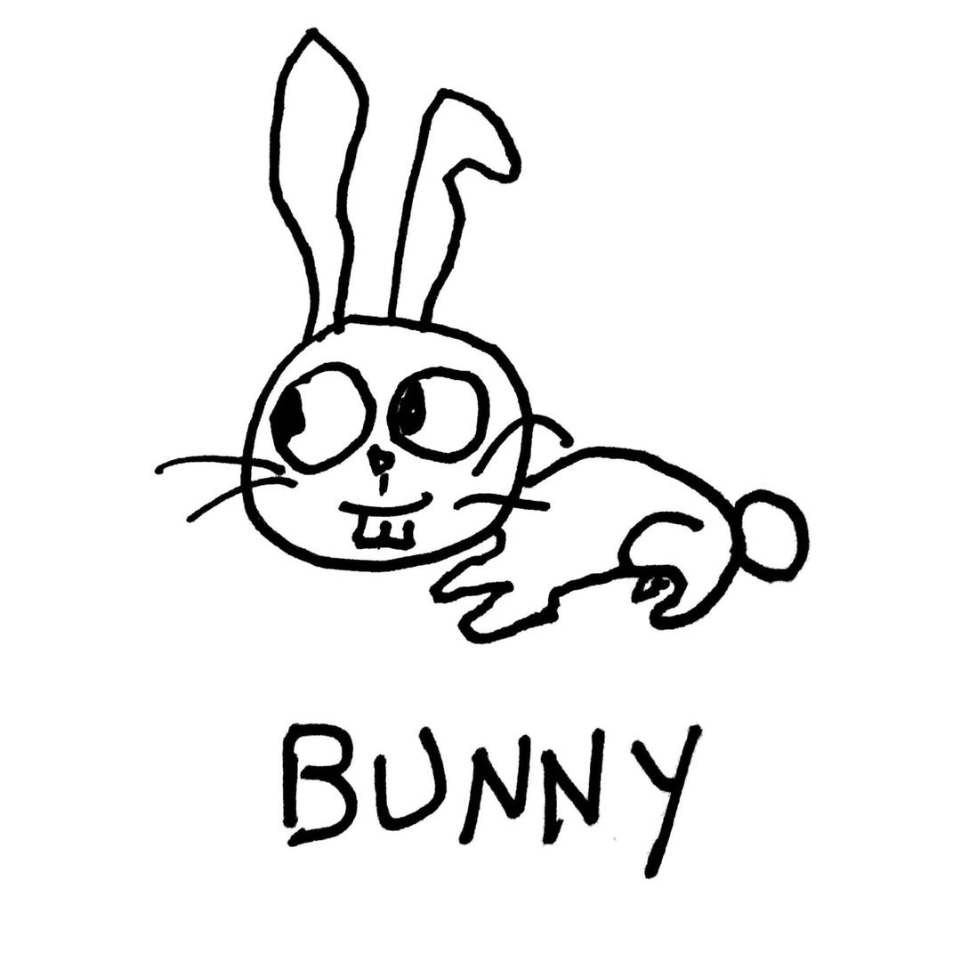 Bunny - Toddler Tee - LoFi Animal Shirts