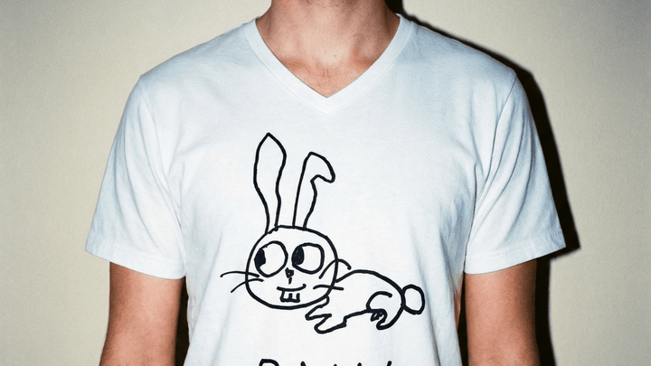 Bunny - V - Neck T-Shirt - LoFi Animal Shirts