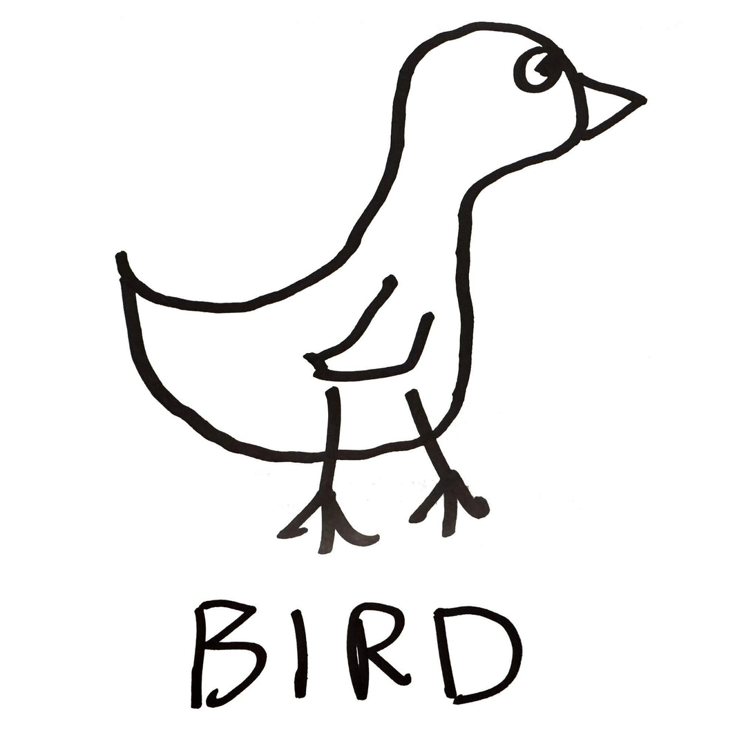 Hand-drawn bird illustration – minimalist lofi line art – LoFi Animal Shirts