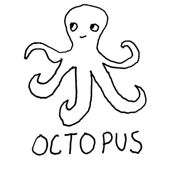Octopus - T-Shirt/Dress - LoFi Animal Shirts